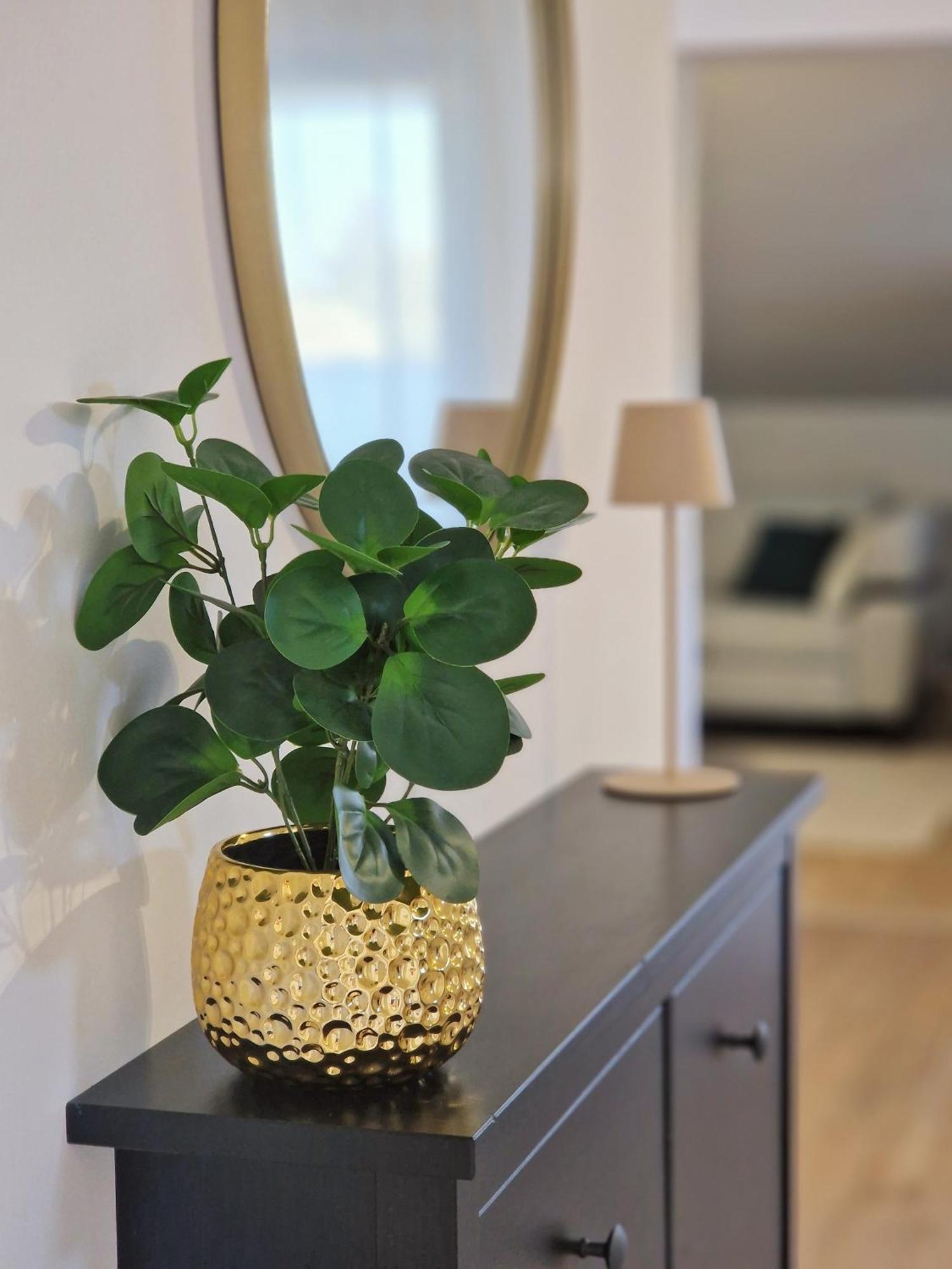 Apartments Jasna Rovinj Zewnętrze zdjęcie